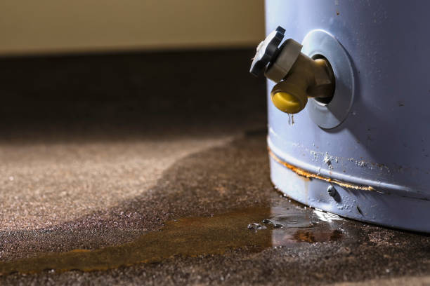 Best Water damage contractors near me  in Walnut, CA