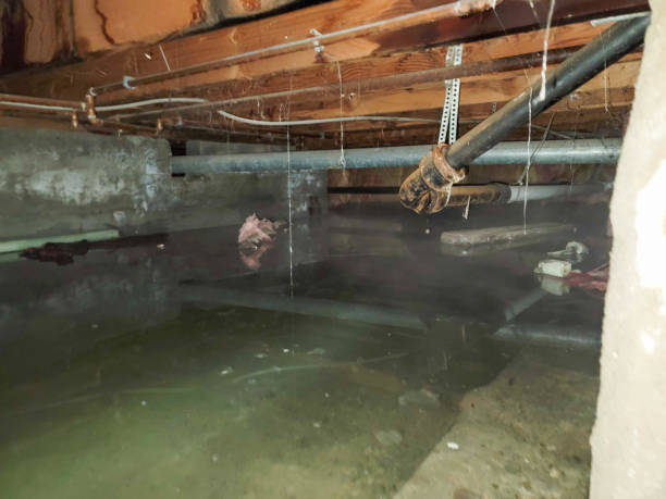 Best 24-hour water damage restoration  in Walnut, CA
