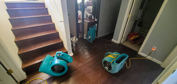 Best Commercial water damage restoration  in Walnut, CA