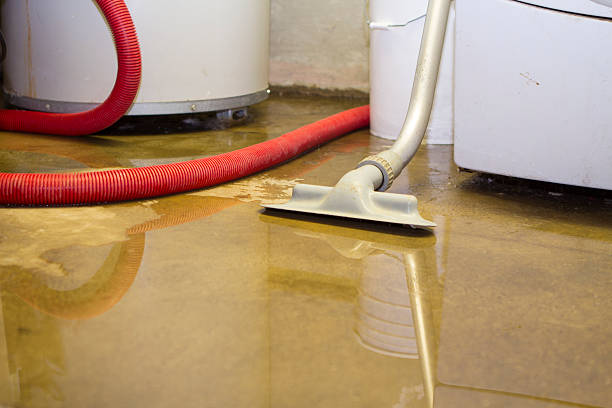 Water damage restoration experts in CA