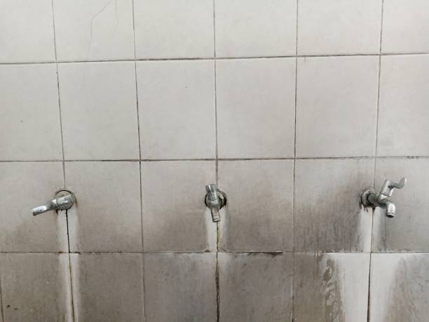  Walnut, CA Water damage restoration Pros