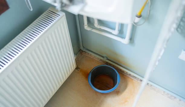 Best Mold removal after water damage  in Walnut, CA