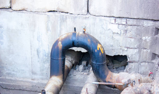 Best Local water damage restoration  in Walnut, CA